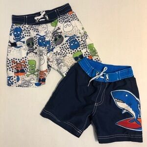 Hanna andersson bathing suit set